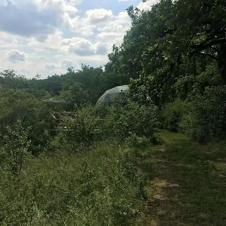 Lyxtält Kozi Dome Clair De Lune *